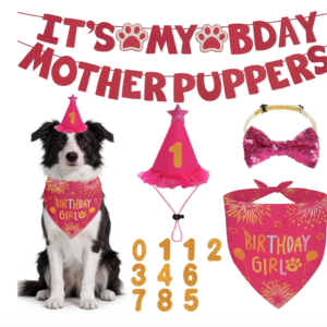 Dog Birthday Party Supplies