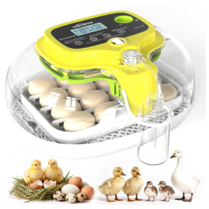Incubator for Hatching Eggs